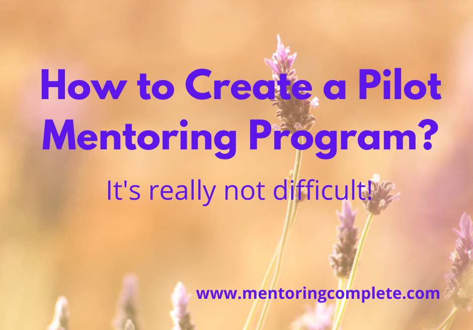 How to Create a Pilot Mentoring Program