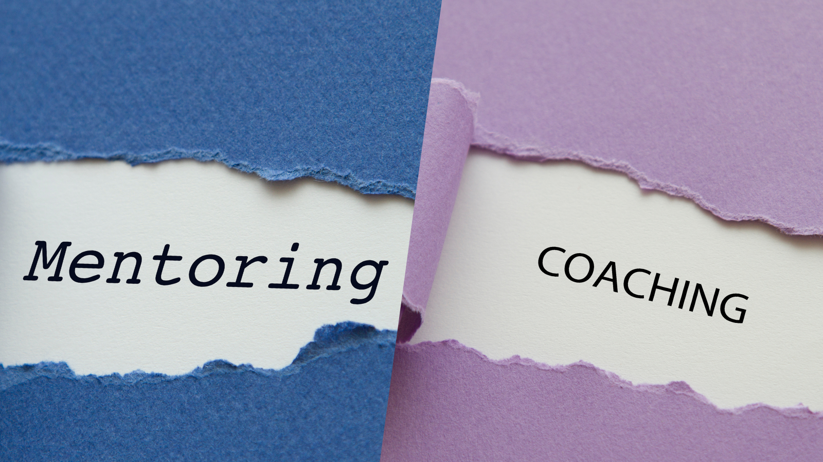 Does your organization need Coaching or Mentoring