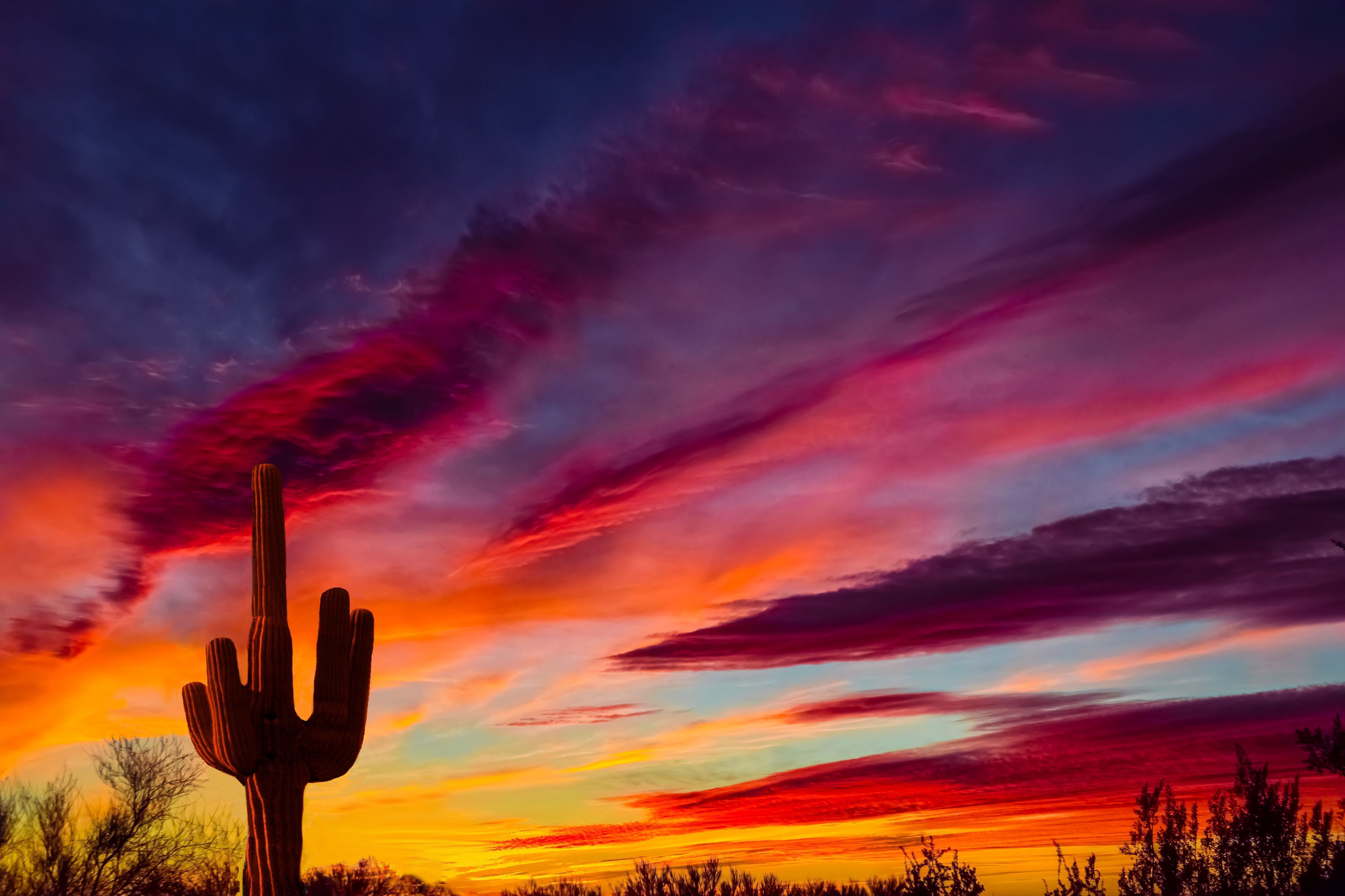 Welcome, Mammoth, Arizona to the Azavar Family!