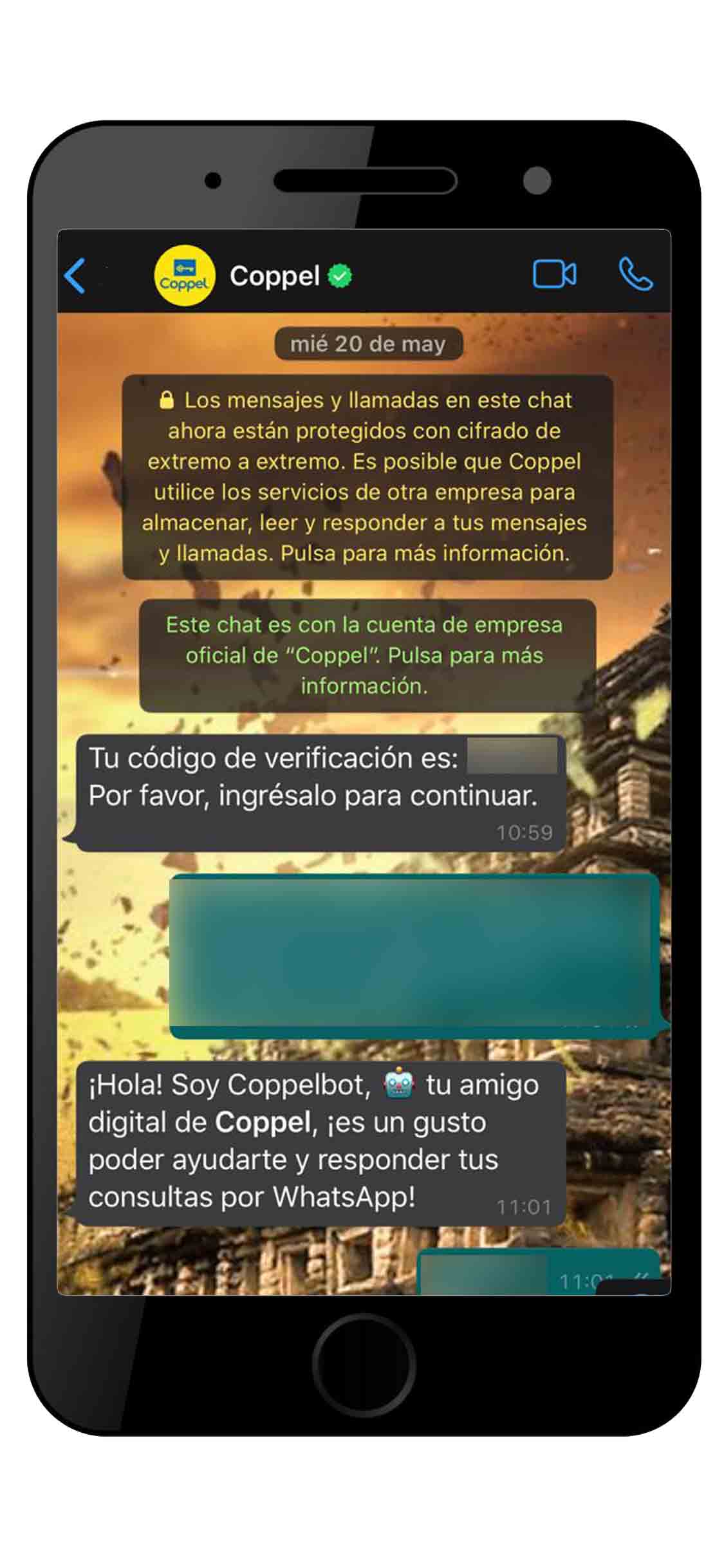 consulta-tu-estado-de-cuenta-coppel-15