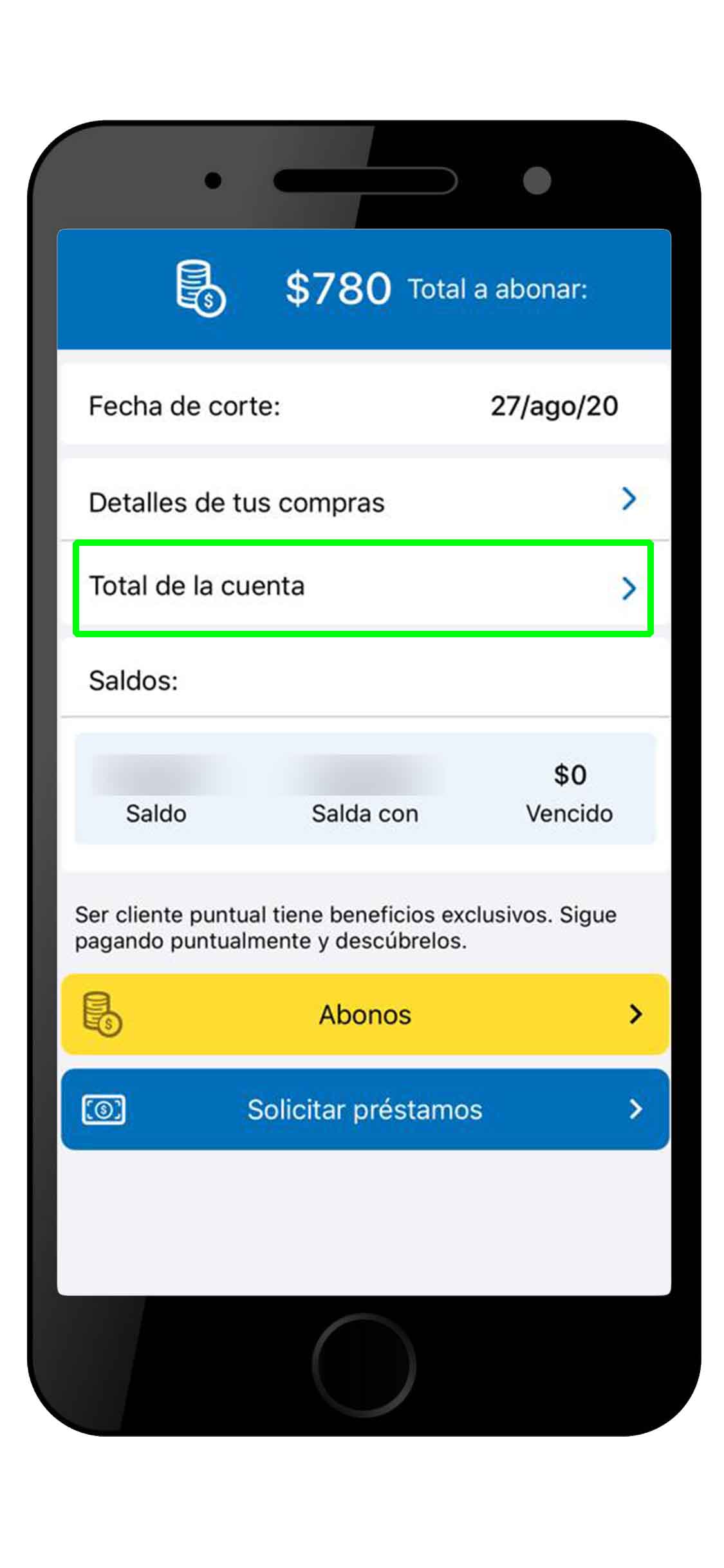 consulta-tu-estado-de-cuenta-coppel-8
