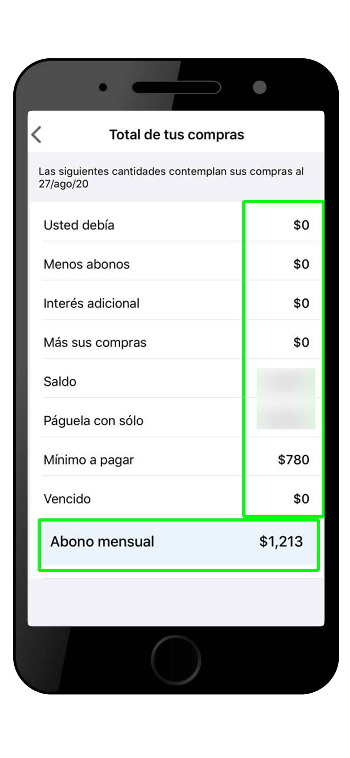 consulta-tu-estado-de-cuenta-coppel-9
