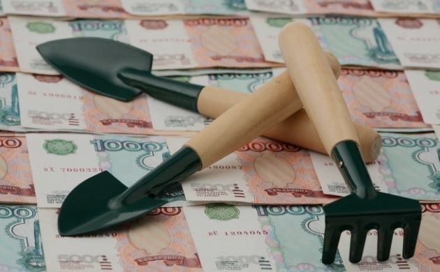 reparadoras-de-creditos