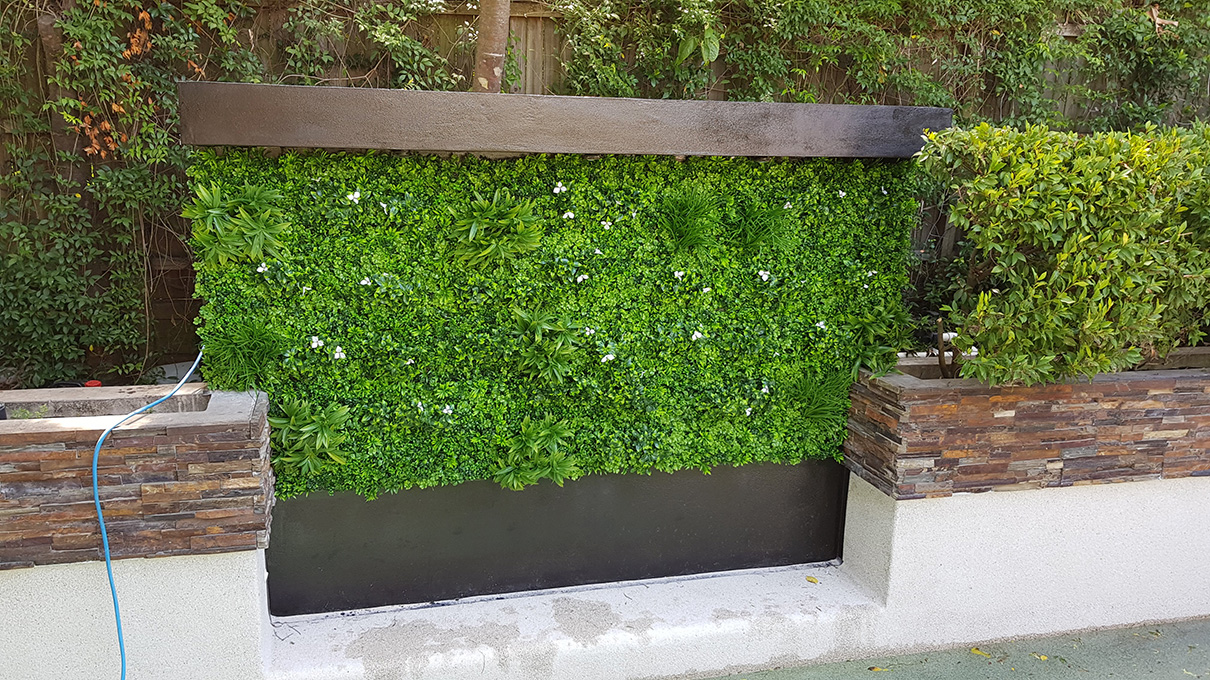 green wall in pool area-min
