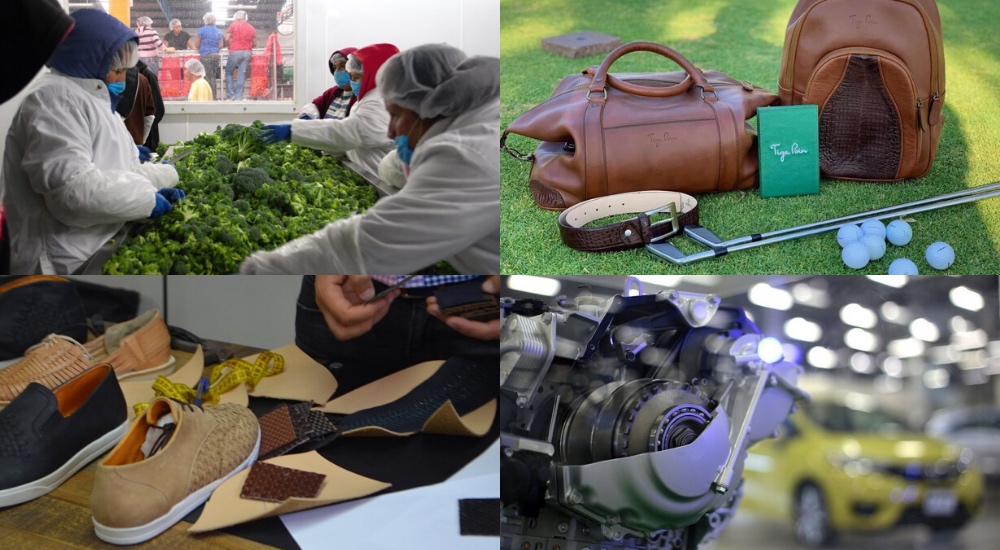 Guanajuato apuesta a sector de exportación