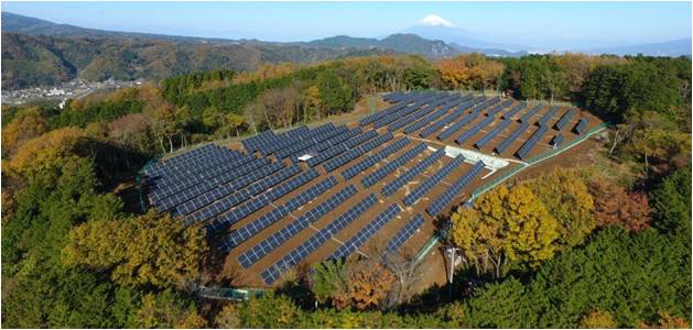 Solar Farm in the Fall