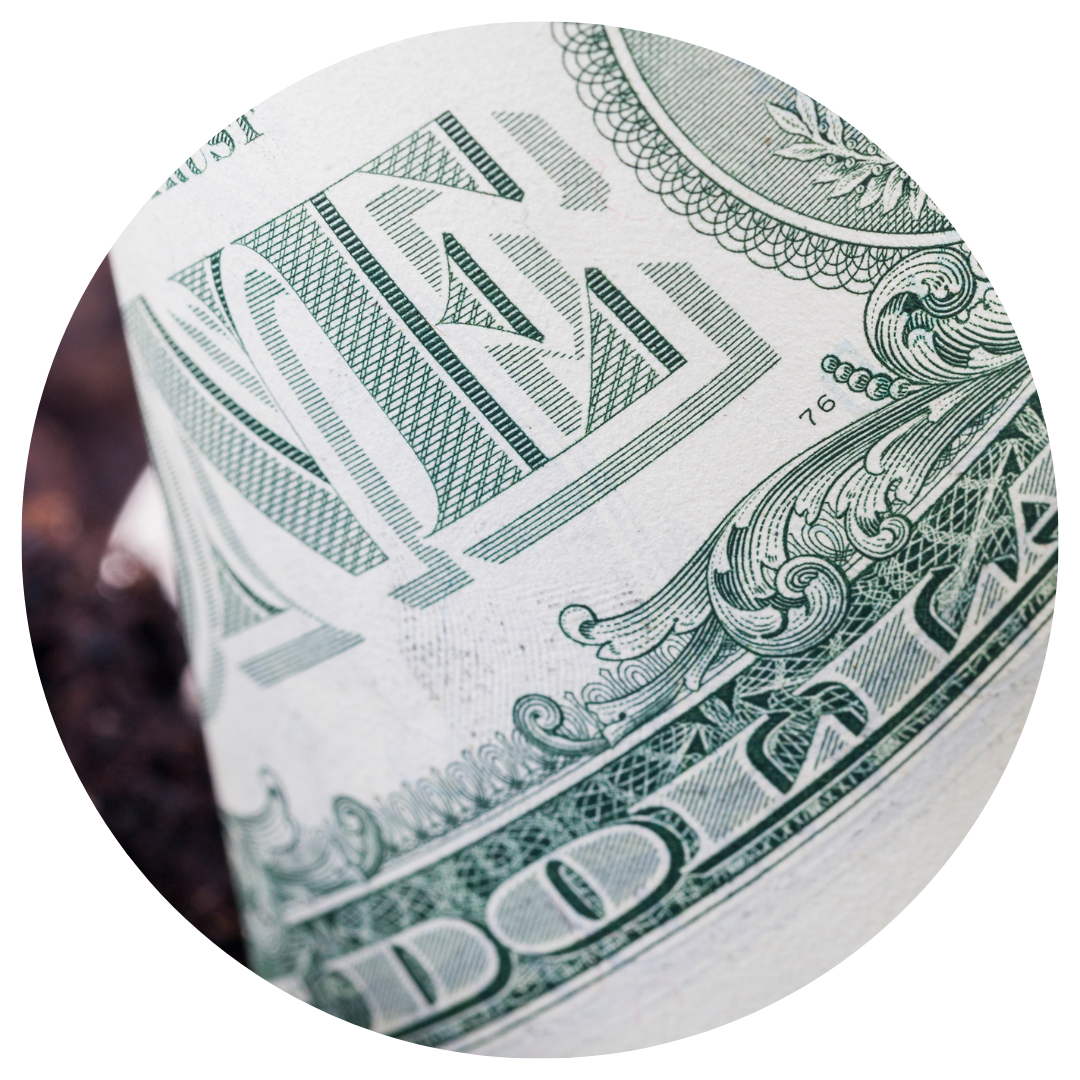 american dollar bill 