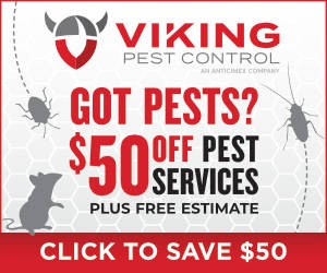 50-dollars-off-any-service