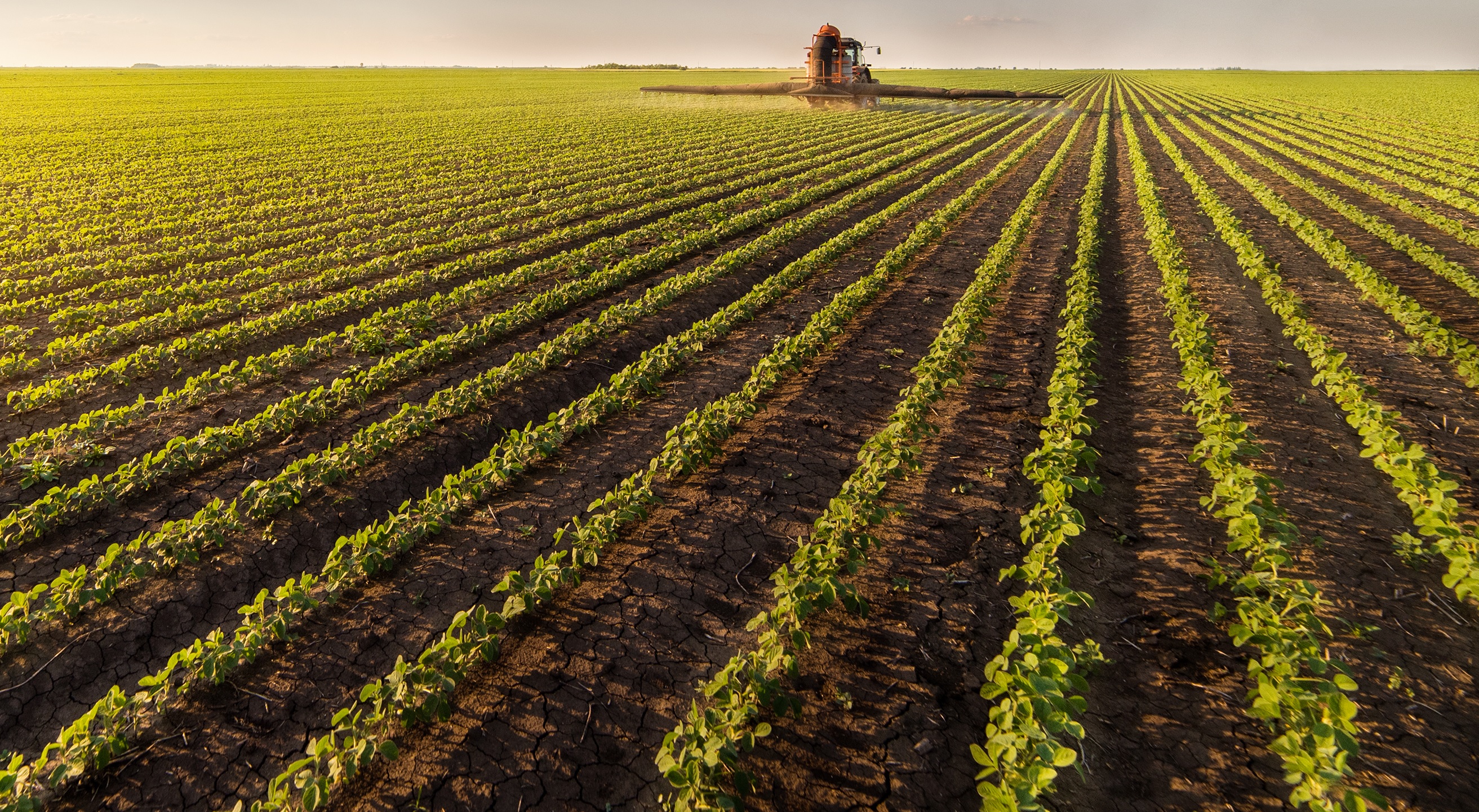 PDF) Aplicações da agricultura de precisão na cultura da soja