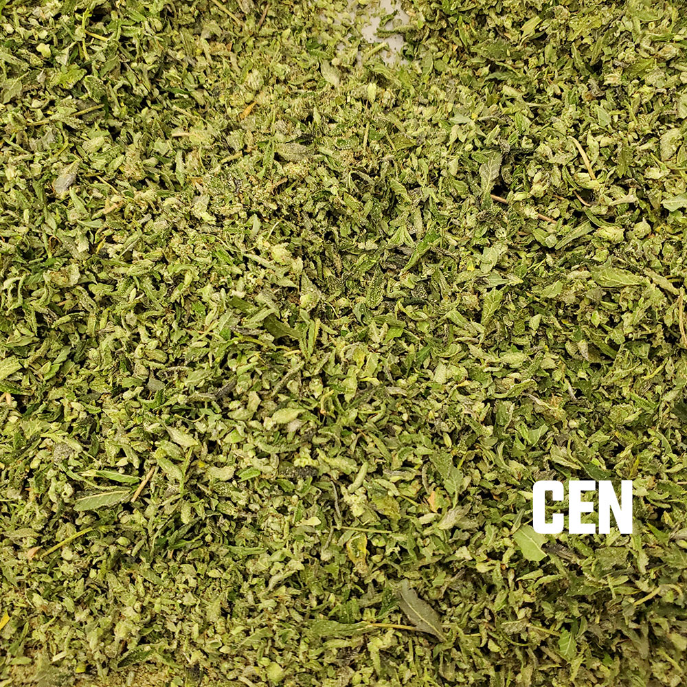 A Beginner's Guide to Cannabis Industry Automation
