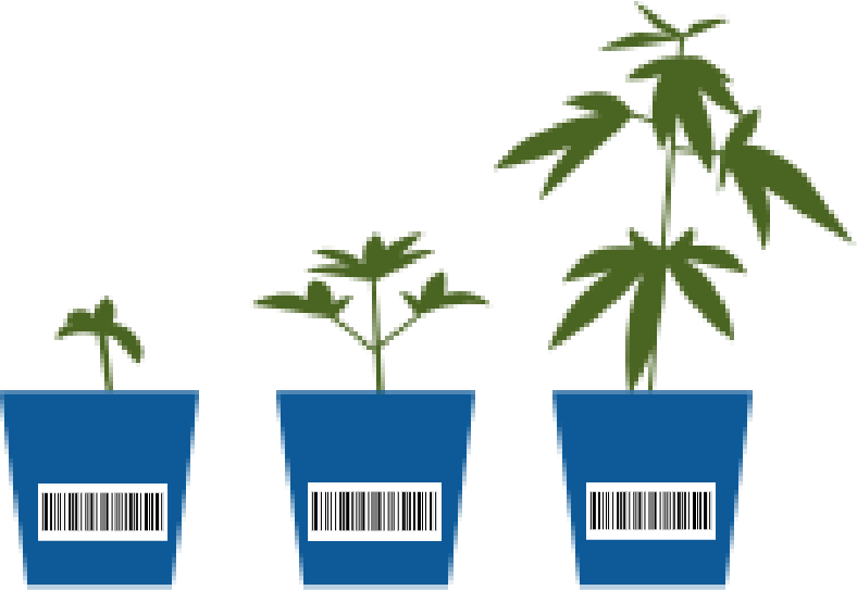 End to End Interface