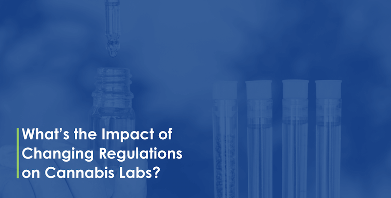 What’s the Impact of Changing Regulations on Cannabis Labs?