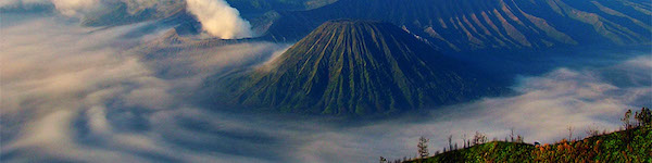 LabWare in Indonesia