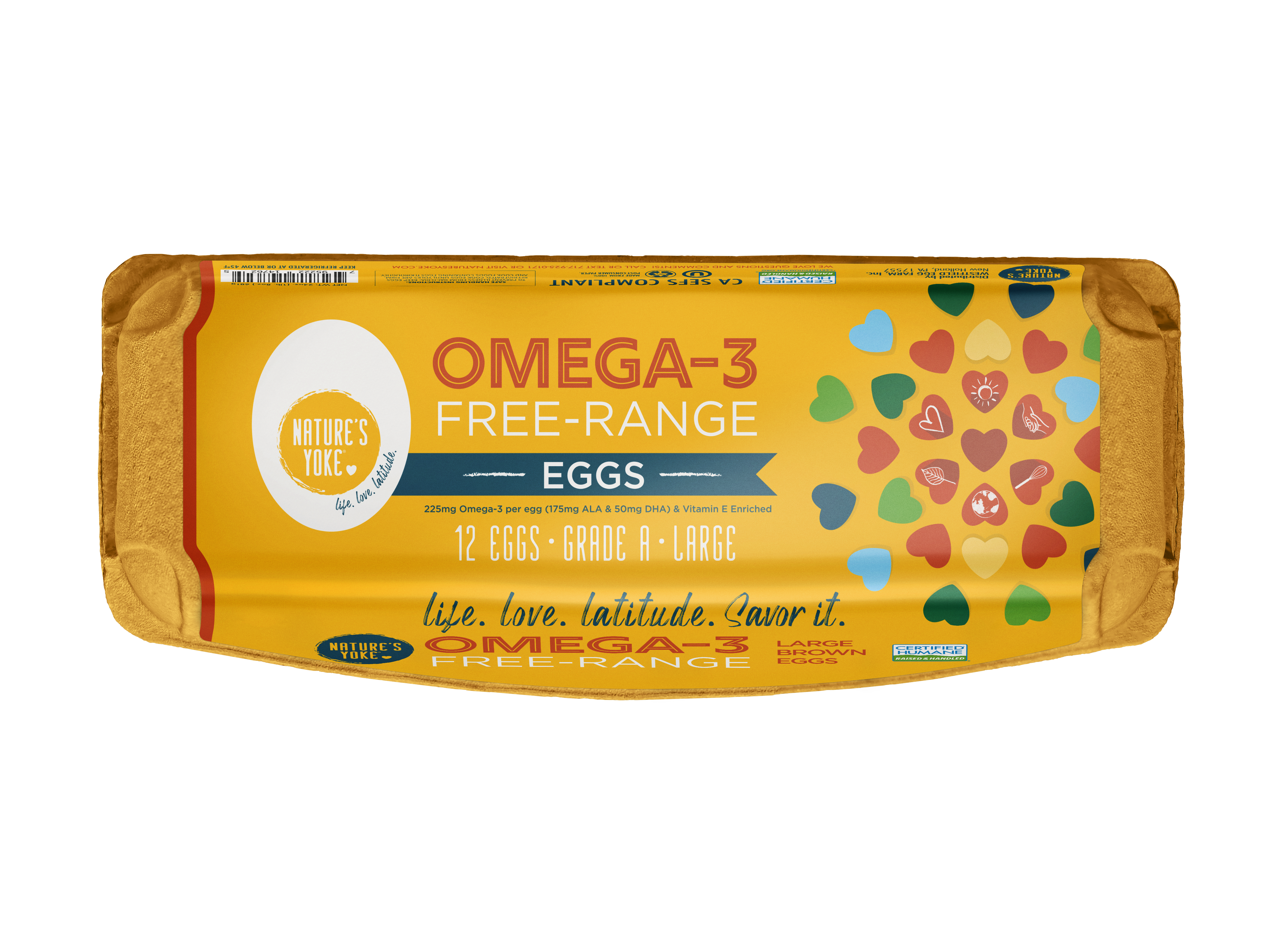 Carton of Nature's Yoke Omega-3 Free-Range Eggs