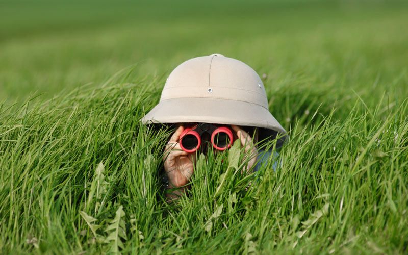 person-in-safari-hat-hiding-in-the-grass-while-holding-binoculars