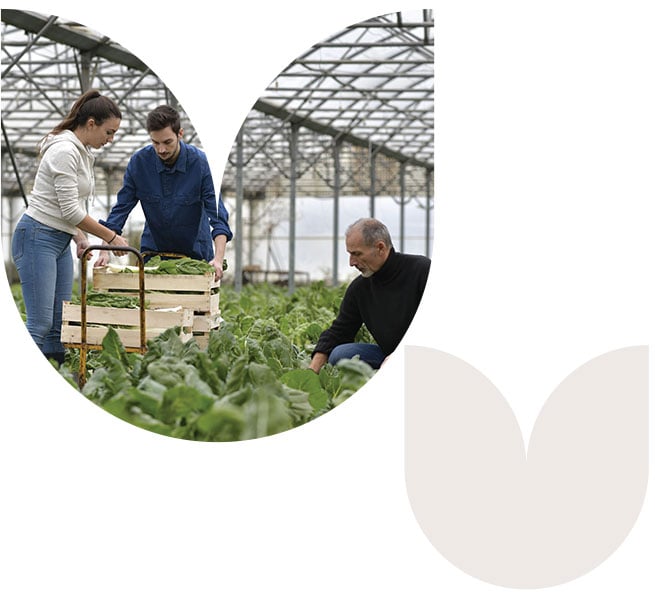 Forme-Agriculture-Hellio-GEOPLC