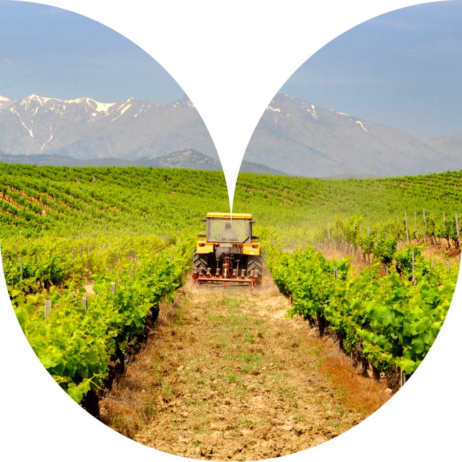 Renovation-energetique-agriculture-corse-hellio-1