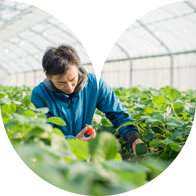 vignette agriculteur