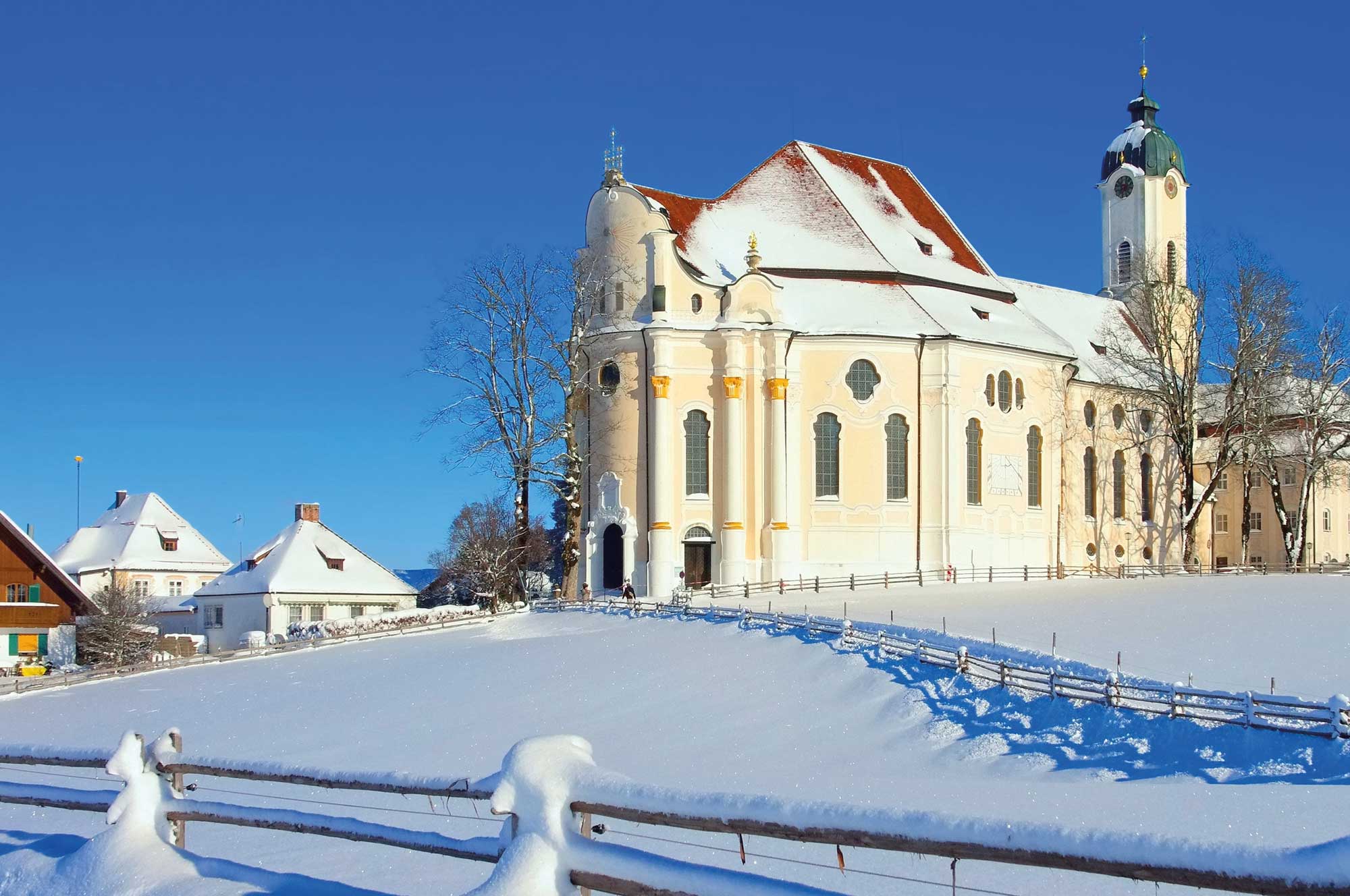 image column 1 widget_1619183502555