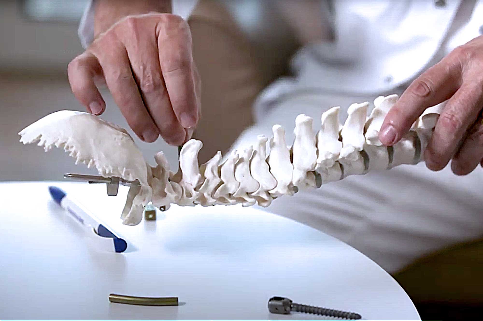 image column 2 widget_1618327946489