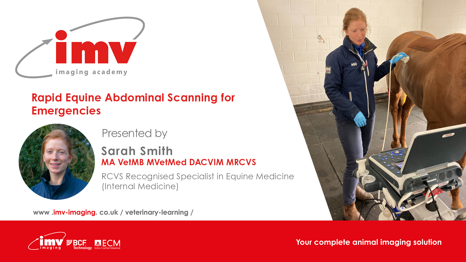 Graphic - Sarah Smith Rapid Equine Abdominal Scanning for Emergencies