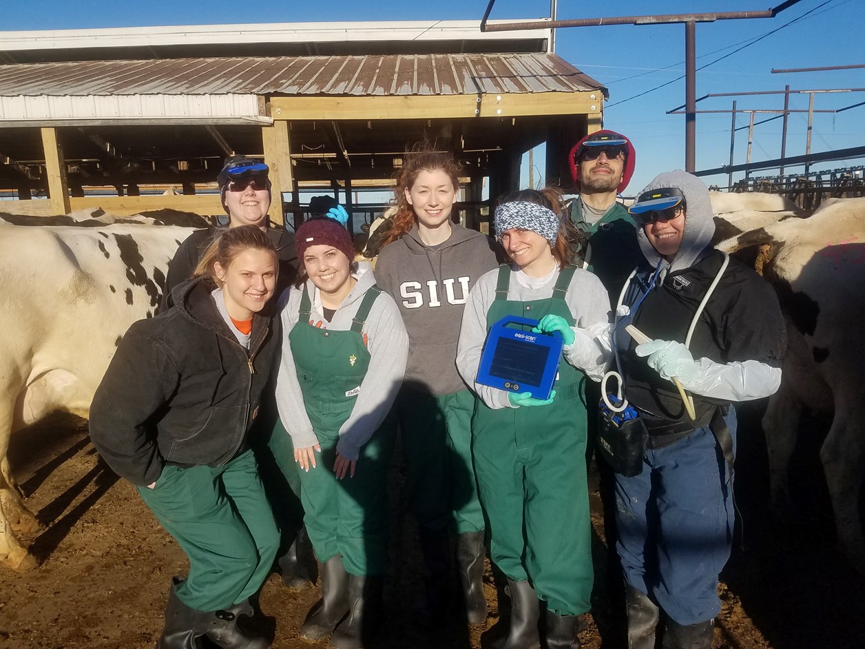 University of Illinois CVM