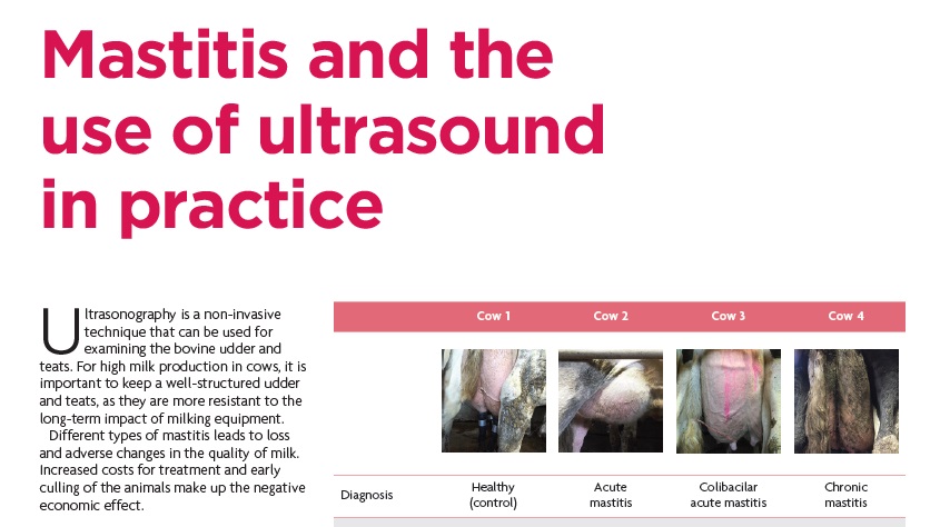 mastitis and ultrasound article