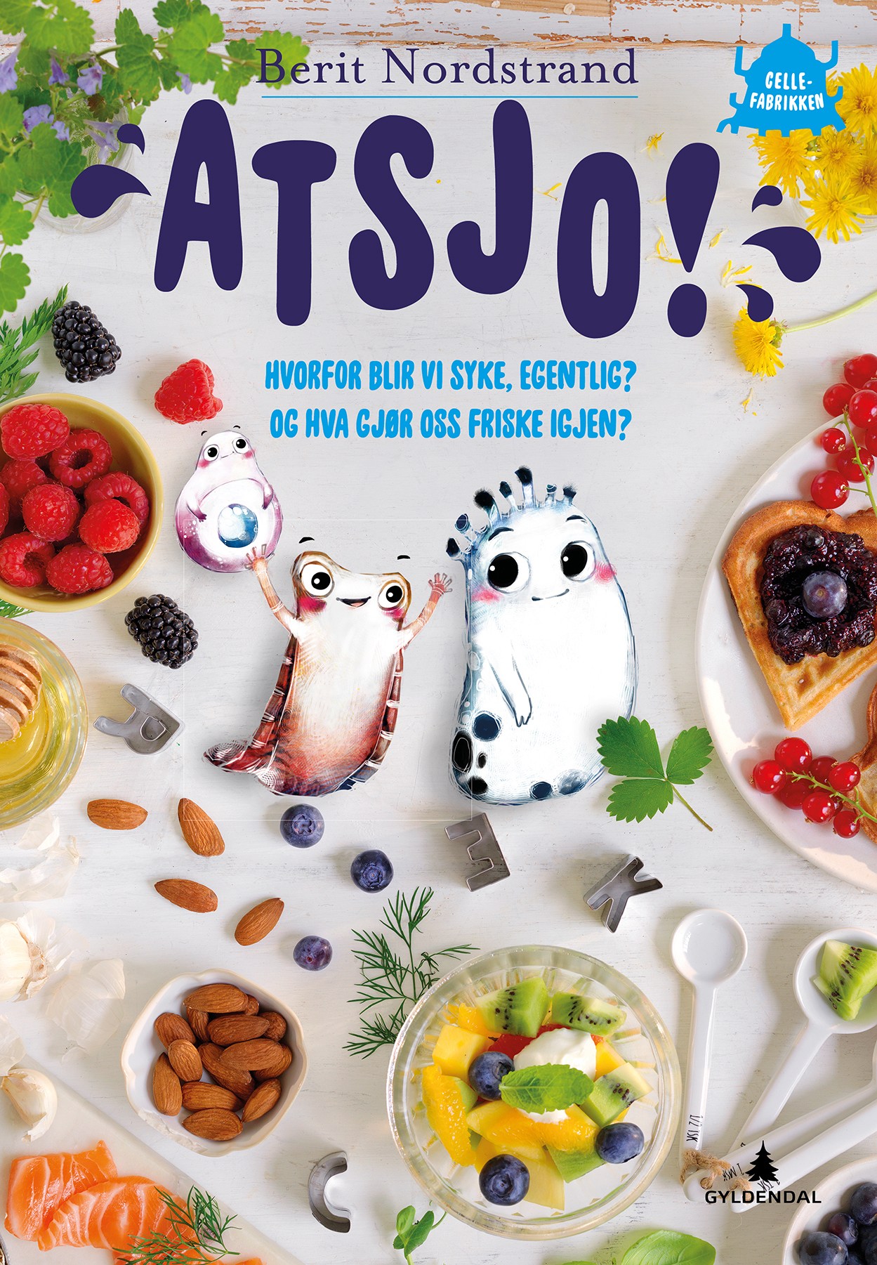 Atsjo
